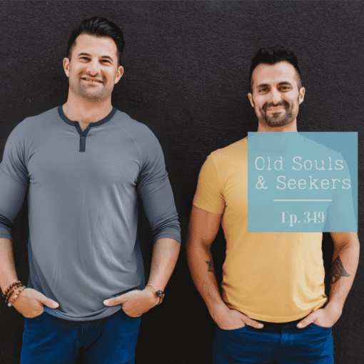 Guy & Ilan Ferdman of Satori Prime Episode 349