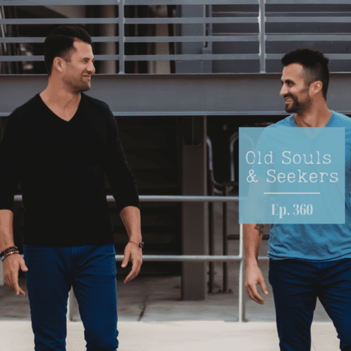 Guy & Ilan Ferdman of Satori Prime Episode 360