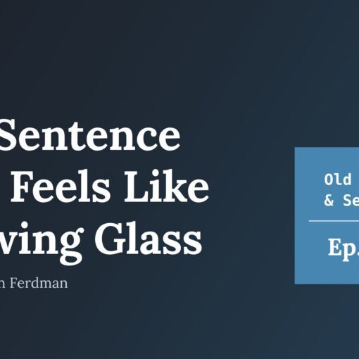 Cover for Old Souls & Seekers podcast Episode 377: The Sentence That Feels Like Chewing Glass, with Guy & Ilan Ferdman